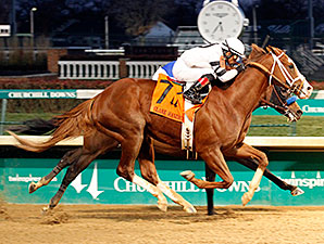 Horse of Year Candidates Took Varied Paths Horse of Year Candidates Took Varied Paths