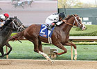 Will Take Charge Survives Oaklawn Inquiry Will Take Charge Survives Oaklawn Inquiry