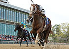 Will Take Charge Could Be Aimed at Whitney Will Take Charge Could Be Aimed at Whitney