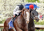 Will Take Charge Works Toward Whitney Will Take Charge Works Toward Whitney