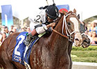 Featured Horse Profile: Will Take Charge