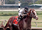 Will Take Charge Overwhelming Winner Will Take Charge Overwhelming Winner