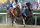 Will Take Charge Tops Lukas Exacta in Rebel