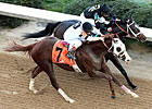 Will Take Charge, Oxbow Going Separate Ways