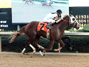 Will Take Charge Following Family Tradition Will Take Charge Following Family Tradition