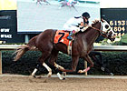 Will Take Charge Following Family Tradition Will Take Charge Following Family Tradition