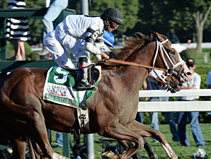 Probe Shows No Use of 'Buzzer' in Travers Probe Shows No Use of 'Buzzer' in Travers