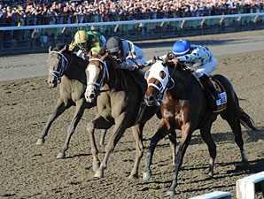 Travers Day Handle, Attendance Increase Travers Day Handle, Attendance Increase