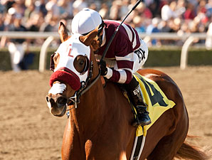 Willa B Awesome to Skip Kentucky Oaks Willa B Awesome to Skip Kentucky Oaks