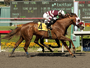 Bejarano Wins 5 to Steal Gold Rush Spotlight Bejarano Wins 5 to Steal Gold Rush Spotlight