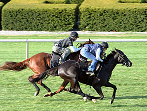 Evenly Matched Pair for Trainer Stidham