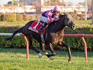 Willcox Inn Leads Shippers in Hollywood Derby Willcox Inn Leads Shippers in Hollywood Derby
