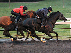 Dullahan, Others Work for Breeders' Cup Dullahan, Others Work for Breeders' Cup