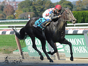 Willet Tests Stakes Streak in Go for Wand Willet Tests Stakes Streak in Go for Wand
