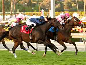 Willyconker Outlasts Mr. Commons in Kilroe Willyconker Outlasts Mr. Commons in Kilroe