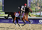 O'Brien Pair Poised in Juvenile Turf O'Brien Pair Poised in Juvenile Turf