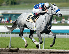 Wimbledon Favored in Santa Anita Derby Wimbledon Favored in Santa Anita Derby