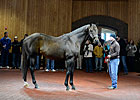 WinStar Awards Stallion Seasons to Breeders WinStar Awards Stallion Seasons to Breeders