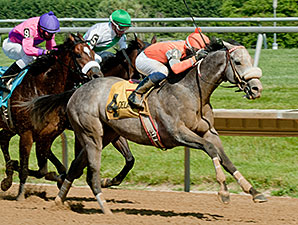 Win Willy Breaks $1 Million in Earnings Win Willy Breaks $1 Million in Earnings