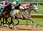 Win Willy Breaks $1 Million in Earnings Win Willy Breaks $1 Million in Earnings