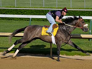 Win Willy Preps for Kentucky Derby Win Willy Preps for Kentucky Derby