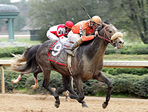 Ky Derby Trail: Win Willy Will Win Derby Ky Derby Trail: Win Willy Will Win Derby