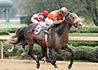 Win Willy (56-1) Lights Up Rebel Stakes Win Willy (56-1) Lights Up Rebel Stakes