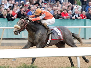 Ky. Derby Trail: Louisville Shuffle Ky. Derby Trail: Louisville Shuffle