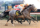 Win Willy Wiggles Way to Fifth Season Win