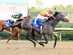 Oaklawn 'Cap: Win Willy Upsets Misremembered Oaklawn 'Cap: Win Willy Upsets Misremembered