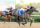 Oaklawn Star Win Willy Returns for Razorback Oaklawn Star Win Willy Returns for Razorback