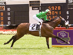 Winchester Among World's Top Turf Horses Winchester Among World's Top Turf Horses