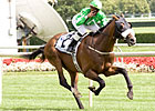 Weld, Winchester Take Aim at Turf Cup Weld, Winchester Take Aim at Turf Cup