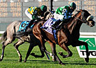 Winchester Lone U.S. Hope in Hong Kong Races Winchester Lone U.S. Hope in Hong Kong Races