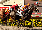 Winding Way Aces Rancho Bernardo Test