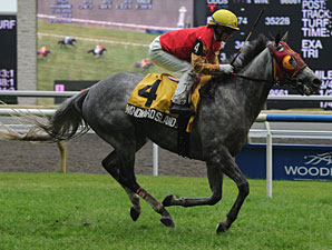 Nijinsky: Layoff Can't Stop Windward Islands Nijinsky: Layoff Can't Stop Windward Islands