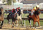 Wine Princess Goes Out With Falls City Win Wine Princess Goes Out With Falls City Win