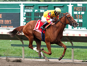 Wine Princess Matures in Monmouth Oaks Wine Princess Matures in Monmouth Oaks