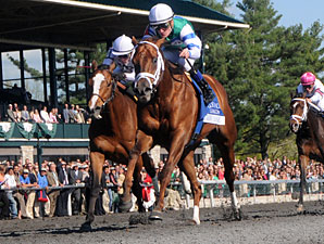 Winning Cause Gets Up in Coolmore Lexington Winning Cause Gets Up in Coolmore Lexington