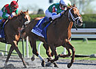 Phoenix Attracts Overflow Field of 14 Phoenix Attracts Overflow Field of 14