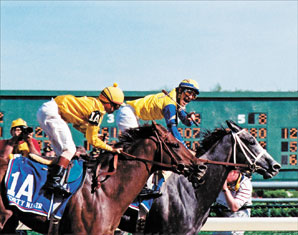 Winning Colors Euthanized Winning Colors Euthanized