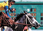 Winning Colors Euthanized 