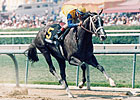Slideshow: Winning Colors