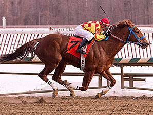 Winning Image Seeks First Graded Stakes Win Winning Image Seeks First Graded Stakes Win