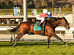 New Tactics Take Winning Prize to Arcadia Win New Tactics Take Winning Prize to Arcadia Win