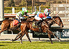 Winning Prize Streaks Home in Kilroe Mile Winning Prize Streaks Home in Kilroe Mile