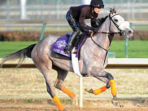 Winter Memories Draws Post 7 in JF Turf Winter Memories Draws Post 7 in JF Turf