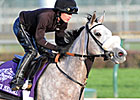 Winter Memories Draws Post 7 in JF Turf