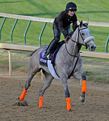 Winter Memories a Special Breeders' Cup Filly Winter Memories a Special Breeders' Cup Filly