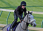 Winter Memories a Special Breeders' Cup Filly